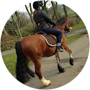 Vikki Hadfield profile picture